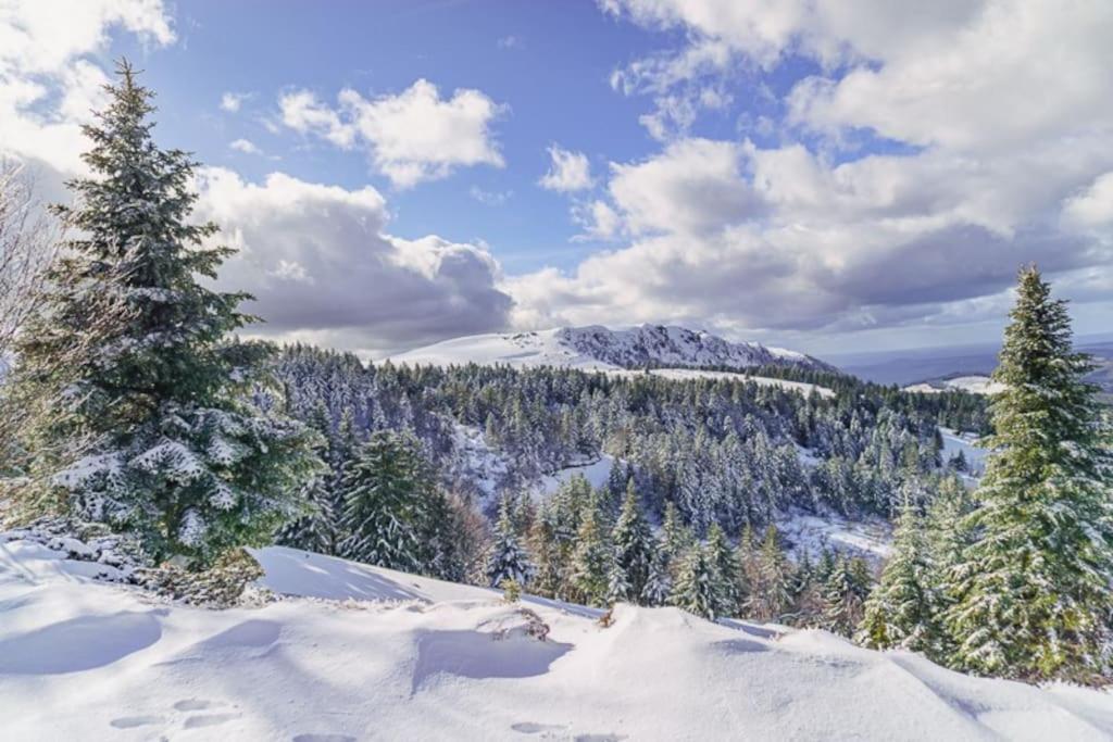 Appt Lumineux, Thermes Et Montagne ラ・ブルブール エクステリア 写真