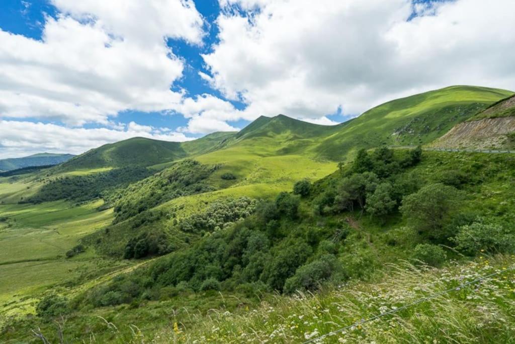 Appt Lumineux, Thermes Et Montagne ラ・ブルブール エクステリア 写真