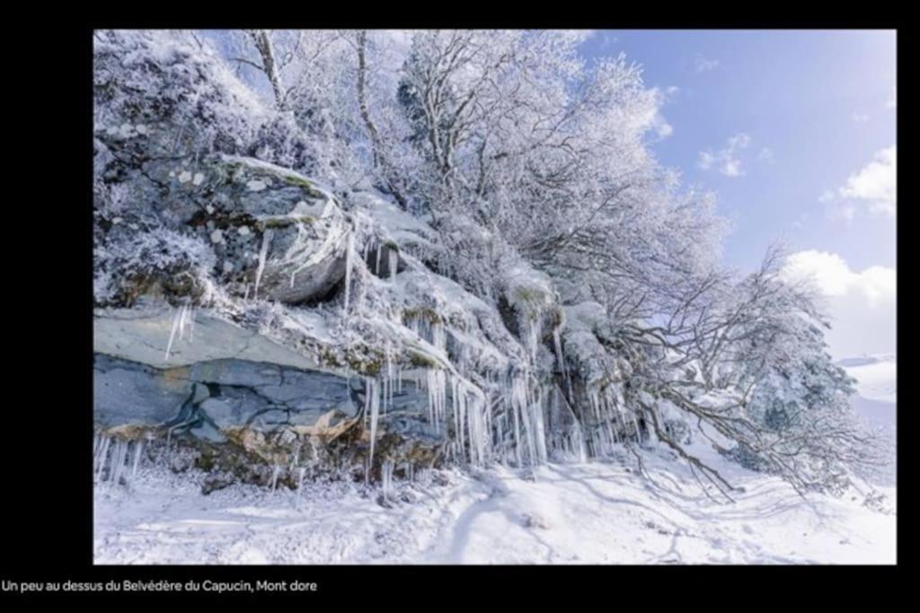Appt Lumineux, Thermes Et Montagne ラ・ブルブール エクステリア 写真