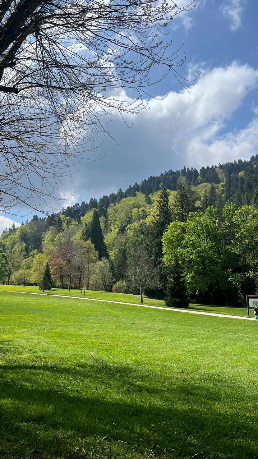 Appt Lumineux, Thermes Et Montagne ラ・ブルブール エクステリア 写真