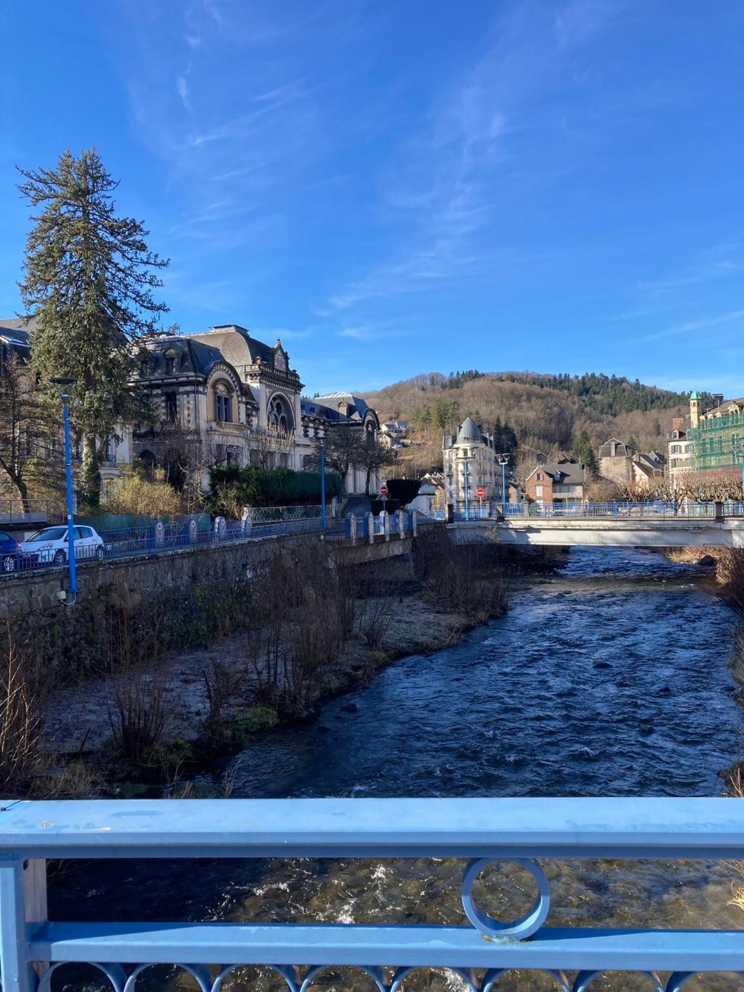 Appt Lumineux, Thermes Et Montagne ラ・ブルブール エクステリア 写真