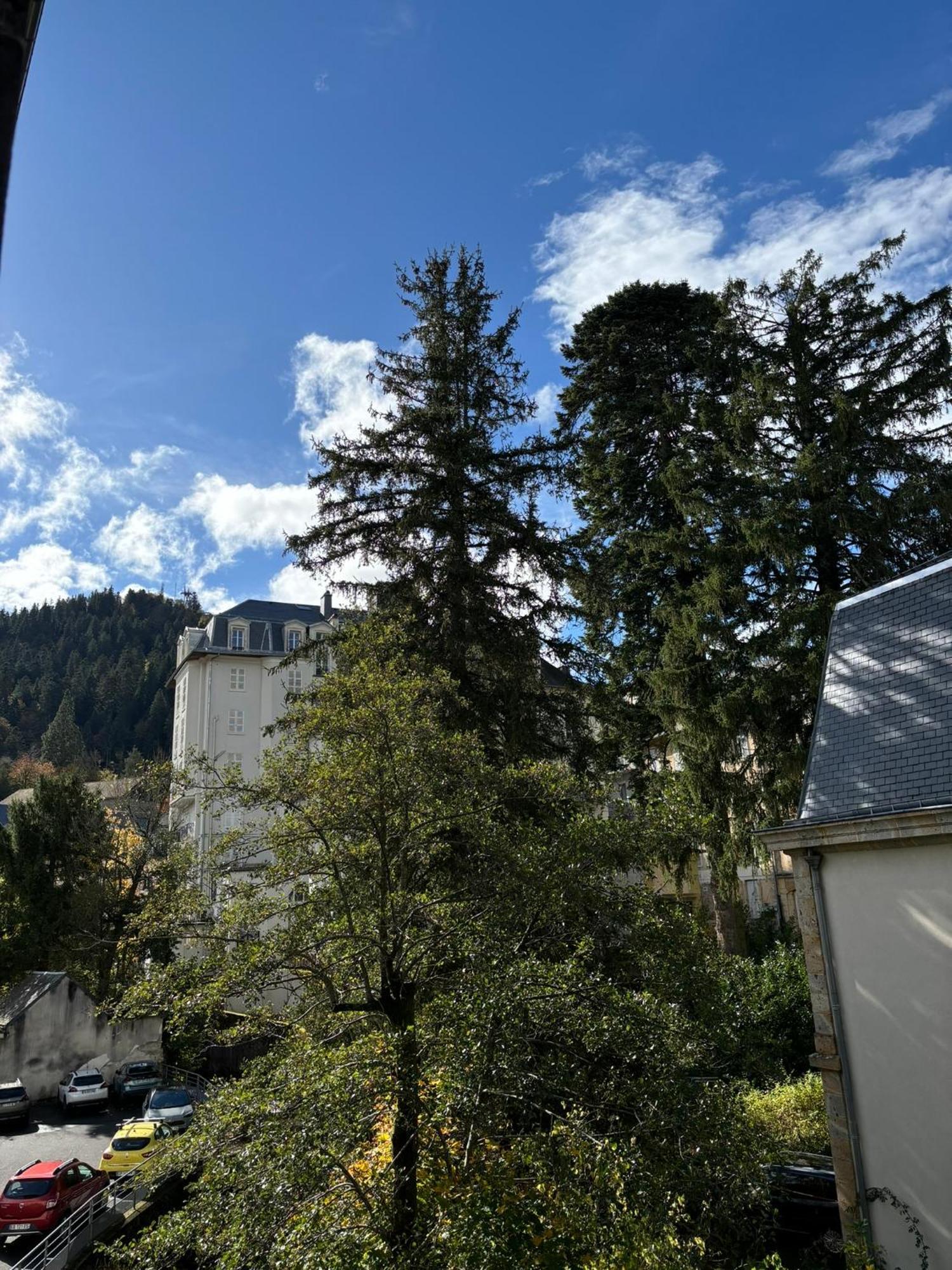 Appt Lumineux, Thermes Et Montagne ラ・ブルブール エクステリア 写真